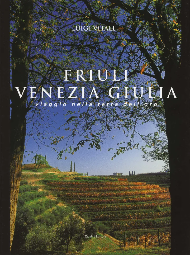Copertina di Viaggio nella terra dell'oro