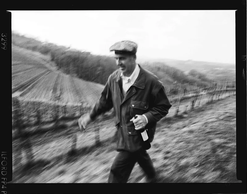 Josko Gravner, Oslavia, Gorizia