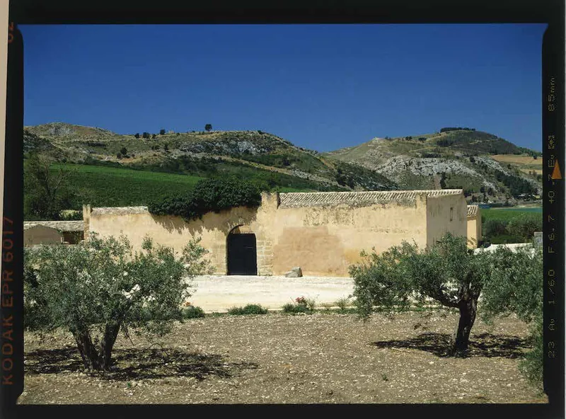 Azienda Planeta, Menfi, Agrigento