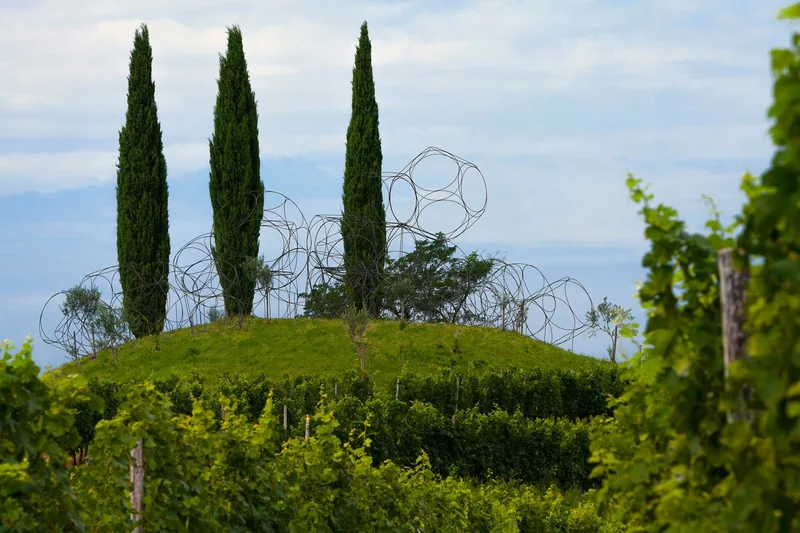 Vigne Museum, Rosazzo. Fotografia di Luigi Vitale