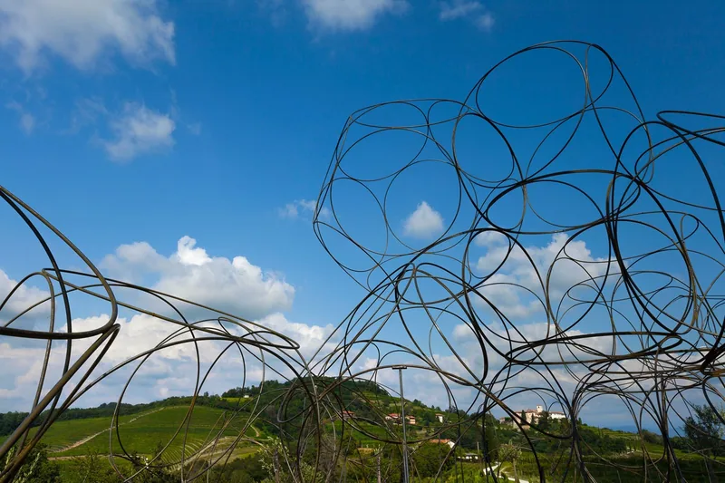 Vigne Museum, Rosazzo. Fotografia di Luigi Vitale