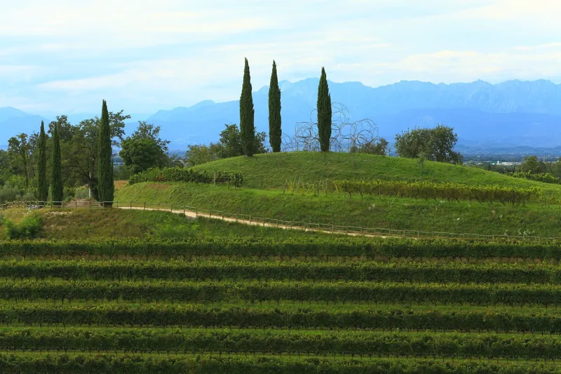 Vigne Museum, Rosazzo. Fotografia di Luigi Vitale